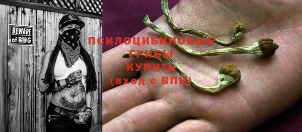 мет Абинск
