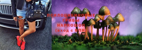 mdpv Заволжск
